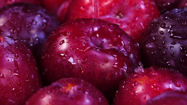 Drops of water falling on ripe organic red plum in extreme slow motion. Shooting with high-speed camera. Closeup shot of sweet tasty fruits.

