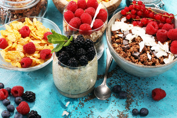Cereal and ingredients for a healthy breakfast with chia pudding, granola, cornflakes and berries