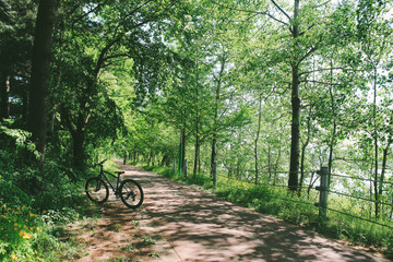 Fototapeta na wymiar Bicycle on forest road in korea