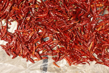 pile of red spicy chillies laid on the street to dry in the hot Asian sun, Laos, Southeast Asia