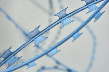 Barbed wire close-up on a beige background. Abstract background.