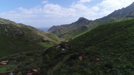 agriculture ténérife