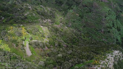 Montages de ténérife