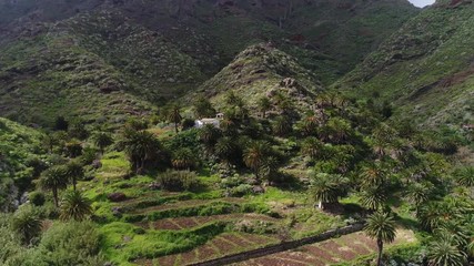 Montages de ténérife