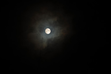 おぼろ月夜