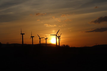 Wind power station in sunset. Romantic evening and modern technologies of ecologically clean...