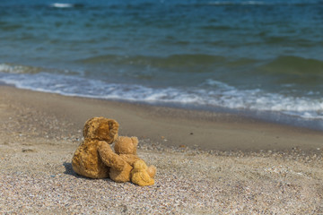 Happy family on summer vacation at seaside concept. 3 cute brown teddy bears sit at tropical beach near wavy blue marine water like real family hugging. Toy father, mother and child. Focus at sea.