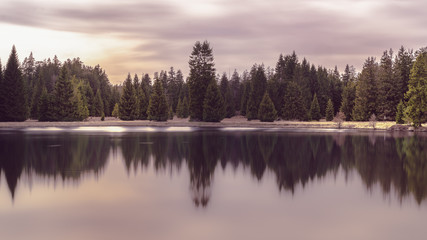Fototapeta na wymiar Silent afternoon pond with forest