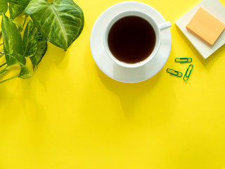 Green leaves plant coffee Cup on yellow desktop, flat lay, copy space.