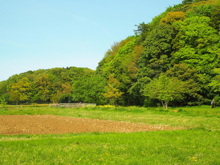 田んぼのある春の里山