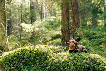A stuffed moose in a green cozy forest.