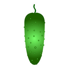 fresh cucumber vegetable isolated icon