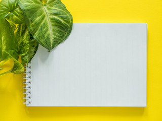 Notepad for notes, green plant leaves on yellow desktop, flat lay, copy space.