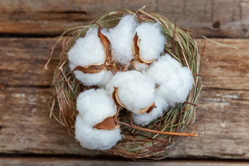 Beautiful white cotton flowers in basket on rustic old vintage wooden flat lay background. Fabric cloth softness natural organic farm allergy concept