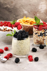 Cereal and ingredients for a healthy breakfast with chia pudding, granola, cornflakes and berries