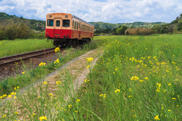 【千葉】小湊鉄道と菜の花畑