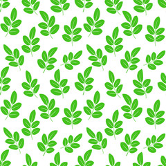 Leaves nature background. Seamless pattern with leaves on white background.