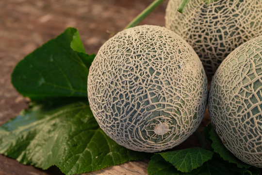 Close up cantaloupe melons on wooden table