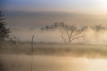 świt nad rozlewiskiem © Piotr Szpakowski