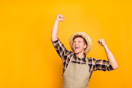 Nature market agriculture business hooray people entrepreneur concept. Close up portrait of excited rejoicing shouting yelling carefree impressed farmer raising fists up isolated on background