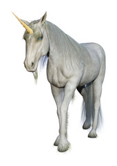 3D Rendering Fairy Tale White Unicorn on White © photosvac