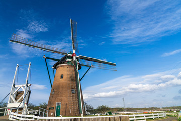 【千葉】佐倉ふるさと広場の風車とチューリップ