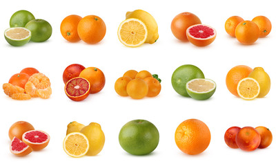 Collection of citrus fruits isolated on white background.