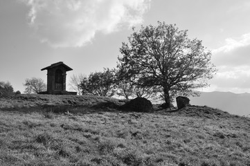 Collina con alberi, in bianco e nero, in inverno, tuscolo, castelli romani, lazio, italia	