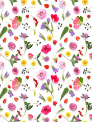 pattern from plants, wild flowers and  berries, isolated on white background, flat lay, top view. The concept of summer, spring, Mother's Day, March 8. 