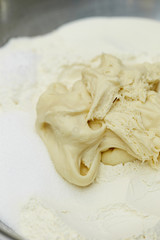 Fresh bread dough 