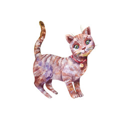 Watercolor cute gray kitten isolated