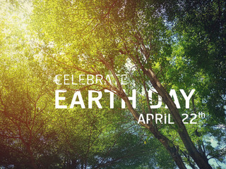 The celebrate earth day flat card or background with the tree see the branches and leaves - 201074452