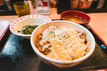 Pork, beef, meat, rice, Donburimono,Donmono