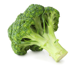 Fresh Broccoli isolated on white background, including clipping path without shade. Germany