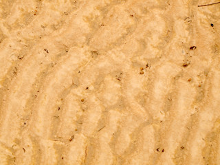 Red soil texture background