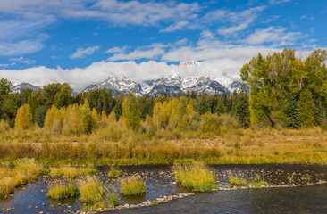 Scenic Autumn Landscape in the Tetons