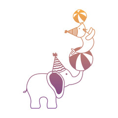 circus elephant and seal over white background, colorful design.  vector illustration