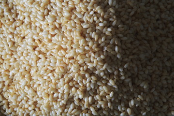 White Sesame Image
