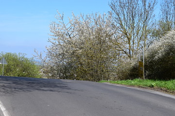 abschüssige Straße, Hochkreuz Thür