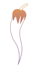 red chili pepper icon over white background, colorful design. vector illustration