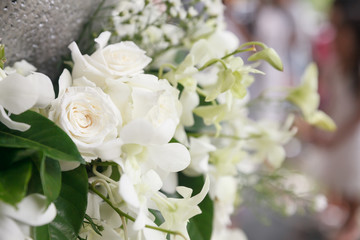 White roses for background.