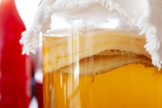 homemade fermented drink Jun tea SCOBY "symbiotic culture of bacteria and  yeast" in a glass bottle jar, close up. Stock Photo | Adobe Stock