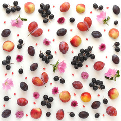 A composition of fruits on a white background. Pattern made from fresh fruits. Top view, flat design. Collage of plum, grapes, apples, flowers, nectarines.