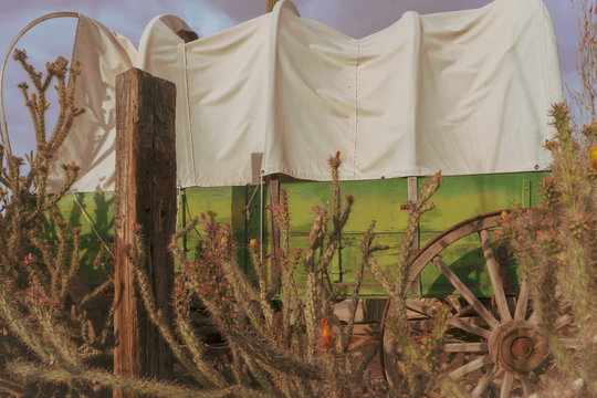 Wild West Wagon,cactus tree background theme