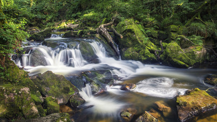 Waterfall in Cornish Woodland