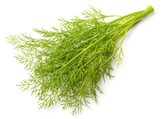 closeup of fresh dill weed isolated on white