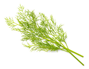 closeup of fresh dill weed isolated on white