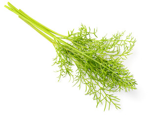 closeup of fresh dill weed isolated on white