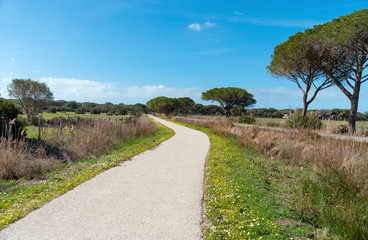 cycling path in the maremma natural park, Alberese, Tuscany, Italy