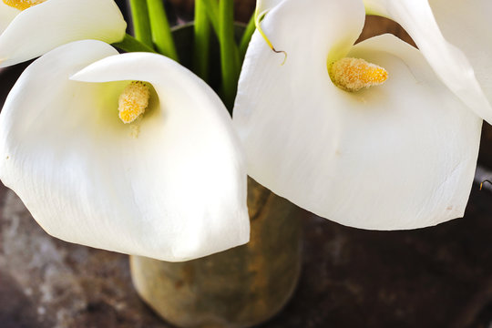 Bouquet of white calla lily flowers